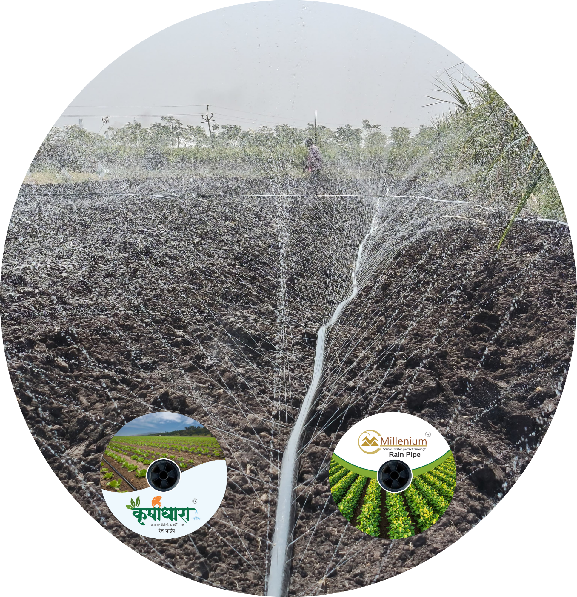 RAIN PIPE